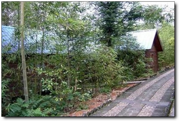 華陽(yáng)畬族山莊_順昌華陽(yáng)畬族山莊_華陽(yáng)畬族山莊