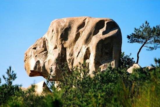 獅球石_美翻了！翔安這香山50畝花海綻放，小伙伴們約起來！