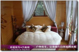 大云房車度假營(yíng) (5)_大云房車度假營(yíng)