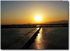 泉港山腰鹽場(chǎng) (4)_泉港泉港山腰鹽場(chǎng)