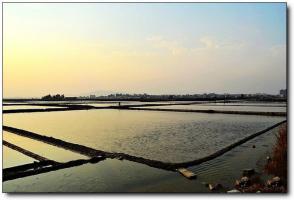 泉港山腰鹽場(chǎng) (6)_泉港泉港山腰鹽場(chǎng)