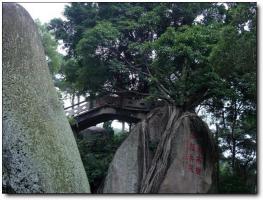 長(zhǎng)樂(lè)猴嶼洞 (5)_長(zhǎng)樂(lè)猴嶼洞