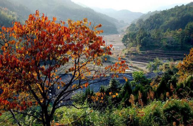 羅源禾山風景區(qū) (3)_羅源禾山風景區(qū)