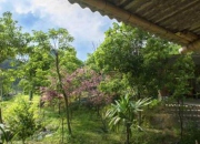 逛鷺島最新推薦極致靜謐的農(nóng)場(chǎng)露營