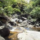 杉際內(nèi)