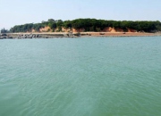 鱷魚(yú)嶼